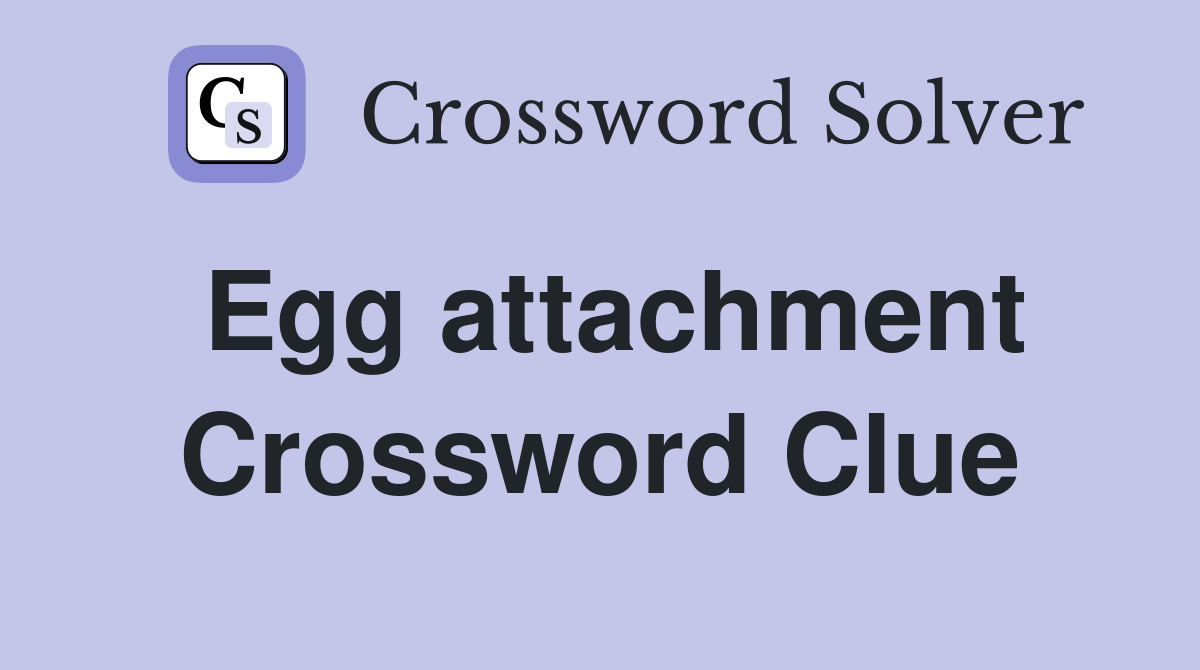 Egg attachment Crossword Clue