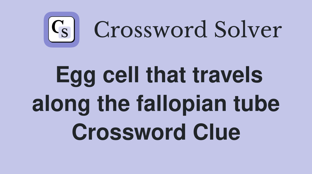 Egg cell that travels along the fallopian tube Crossword Clue