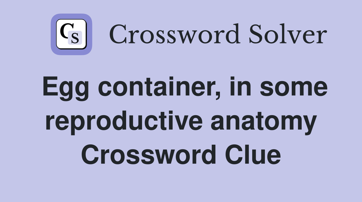Egg container, in some reproductive anatomy Crossword Clue