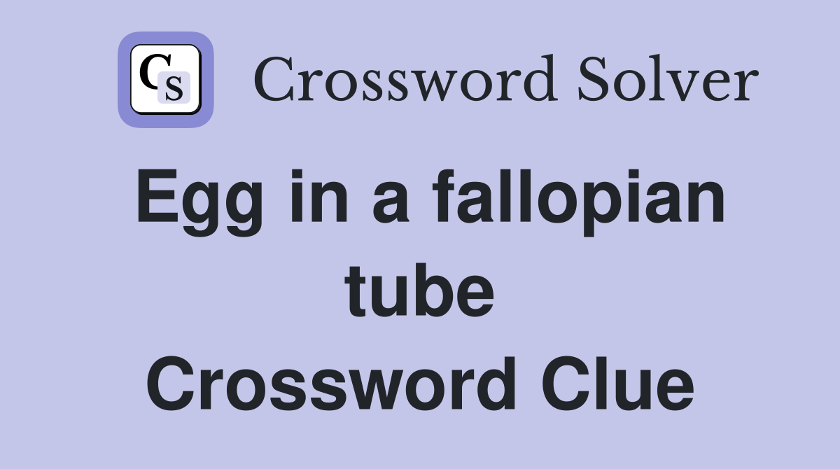 Egg in a fallopian tube Crossword Clue