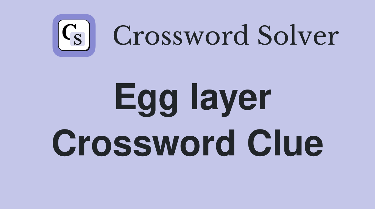Egg layer Crossword Clue