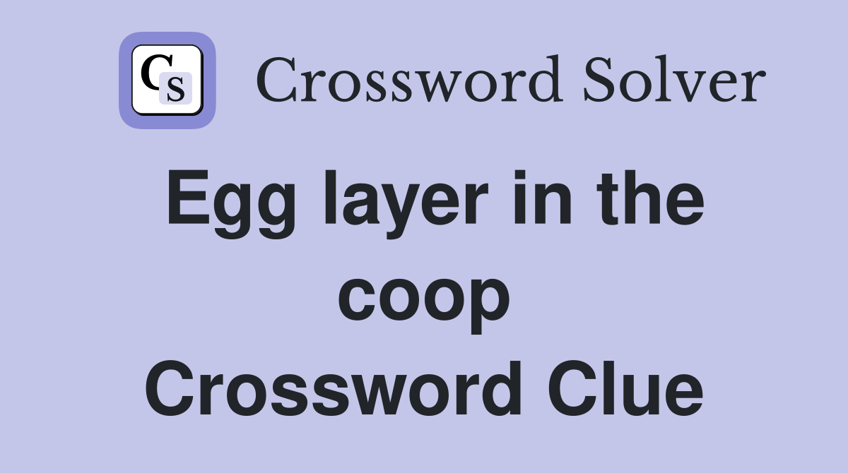 Egg layer in the coop Crossword Clue