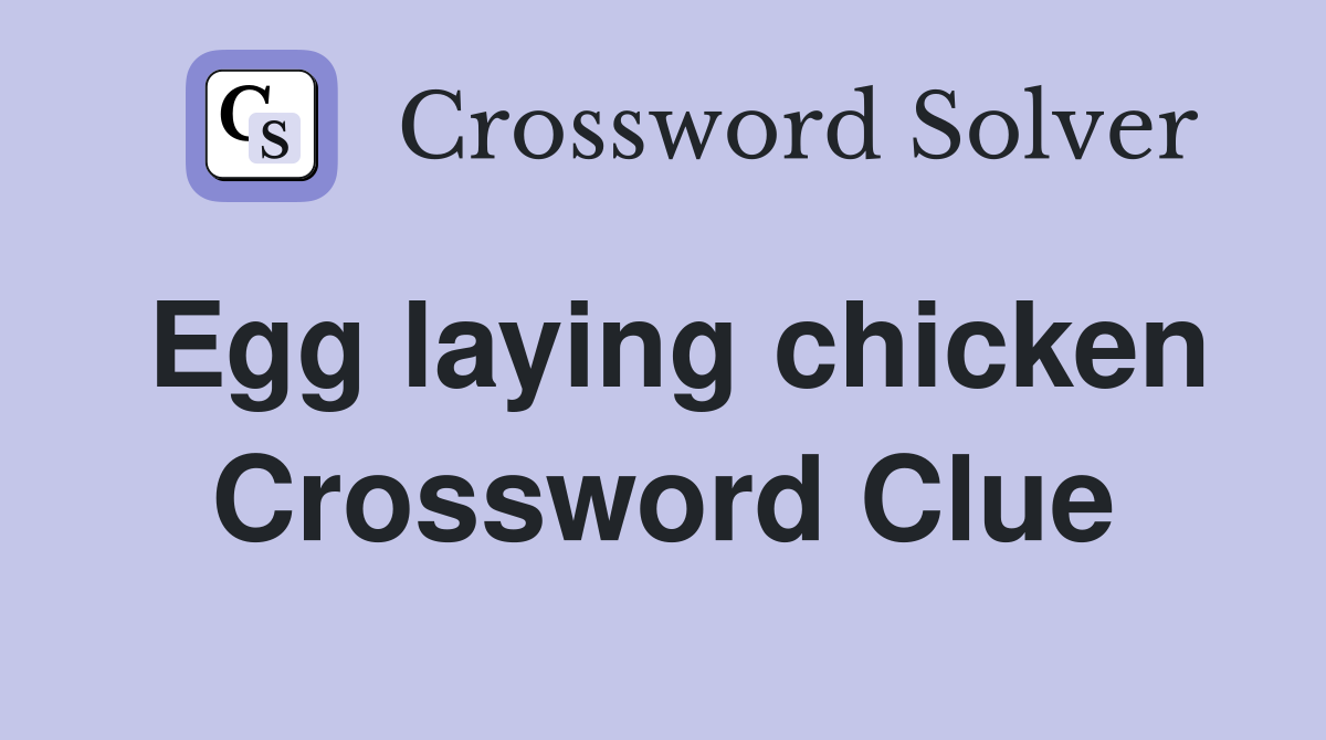 Egg laying chicken Crossword Clue