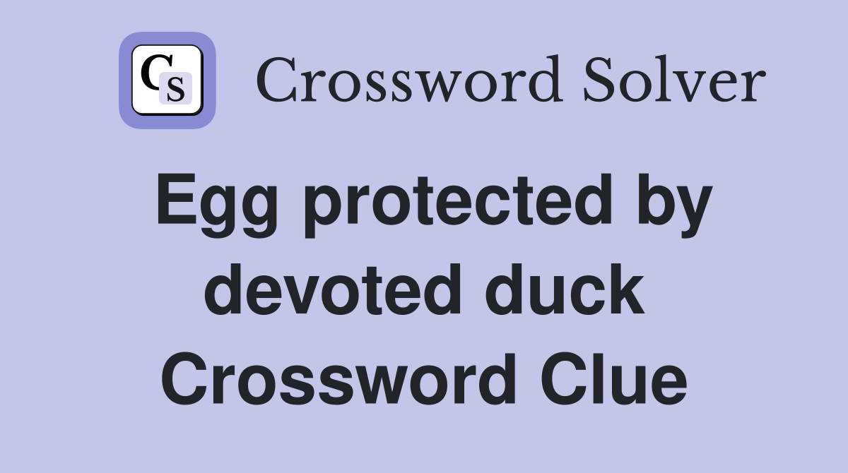 Egg protected by devoted duck Crossword Clue