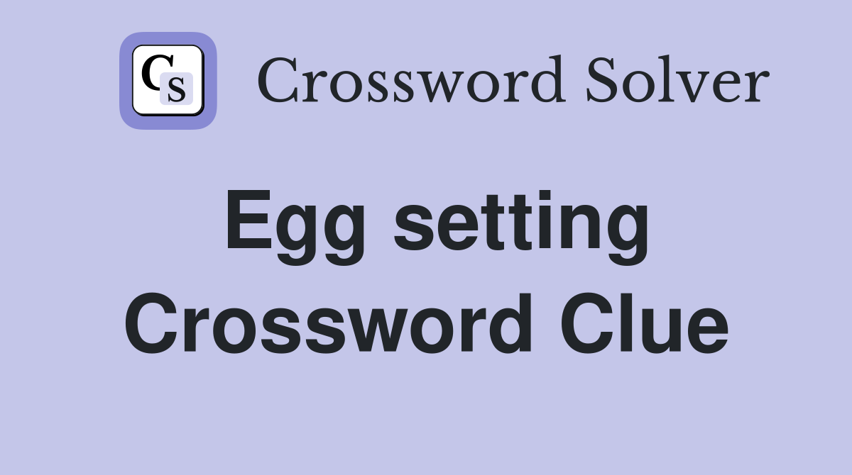Egg setting Crossword Clue