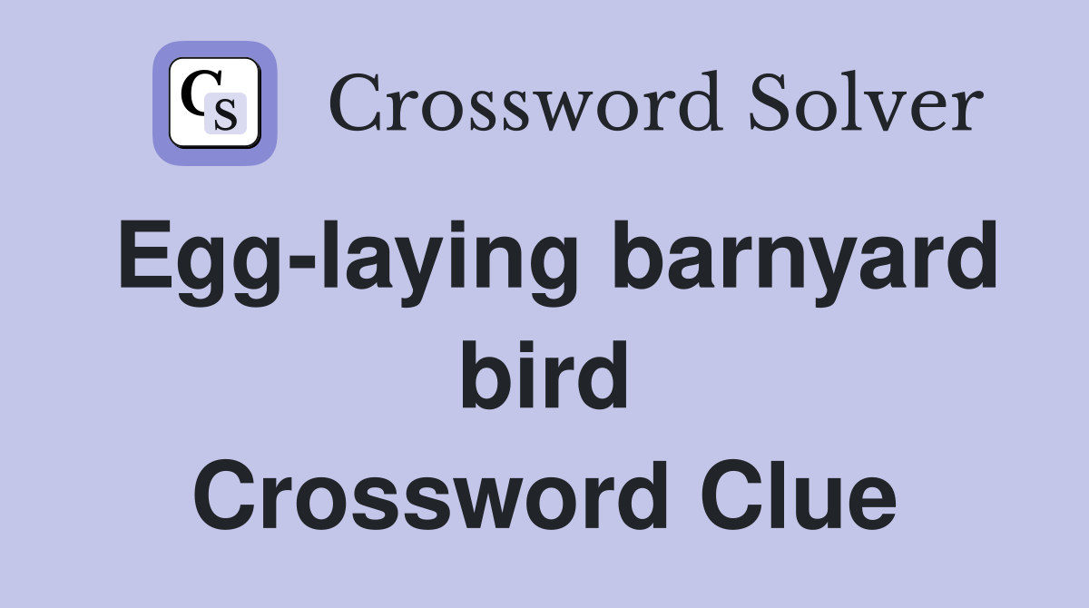 Egg-laying barnyard bird Crossword Clue