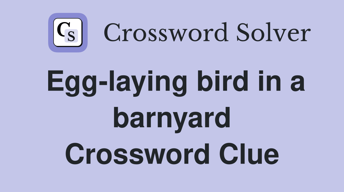 Egg-laying bird in a barnyard Crossword Clue