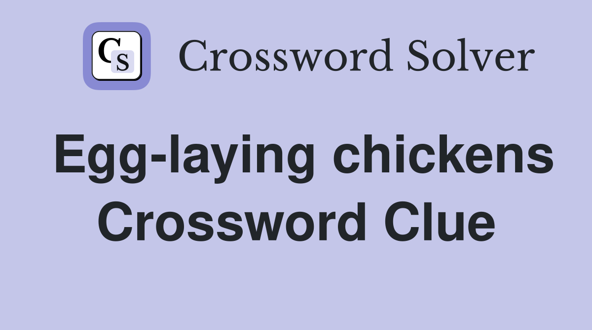 Egg-laying chickens Crossword Clue