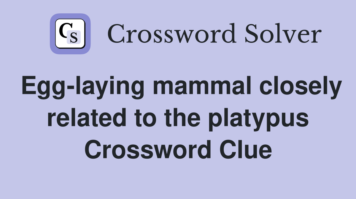 Egg-laying mammal closely related to the platypus Crossword Clue