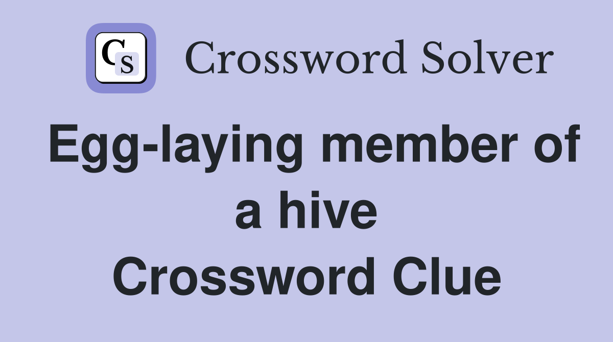 Egg-laying member of a hive Crossword Clue