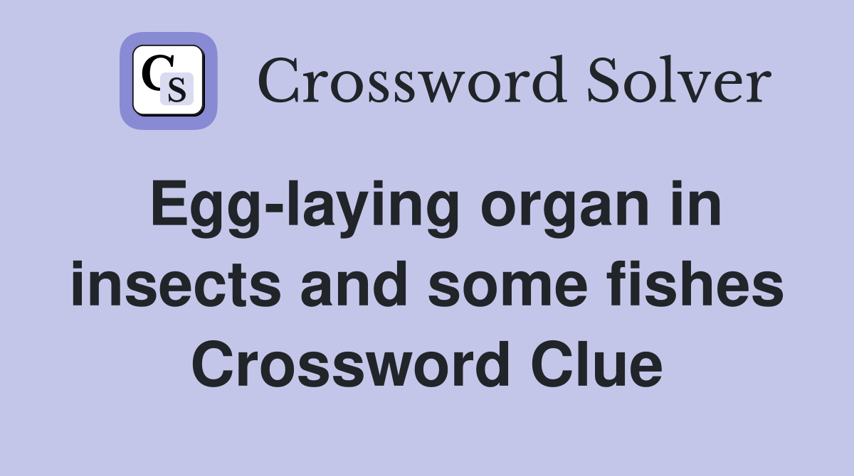 Egg-laying organ in insects and some fishes Crossword Clue