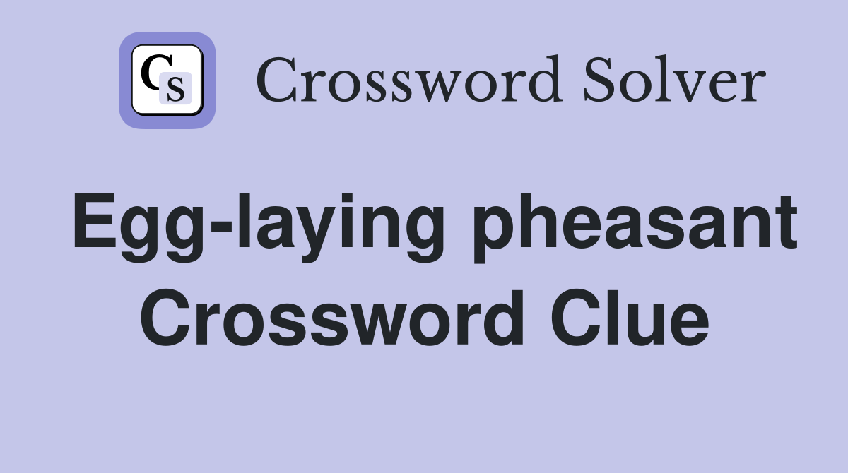 Egg-laying pheasant Crossword Clue