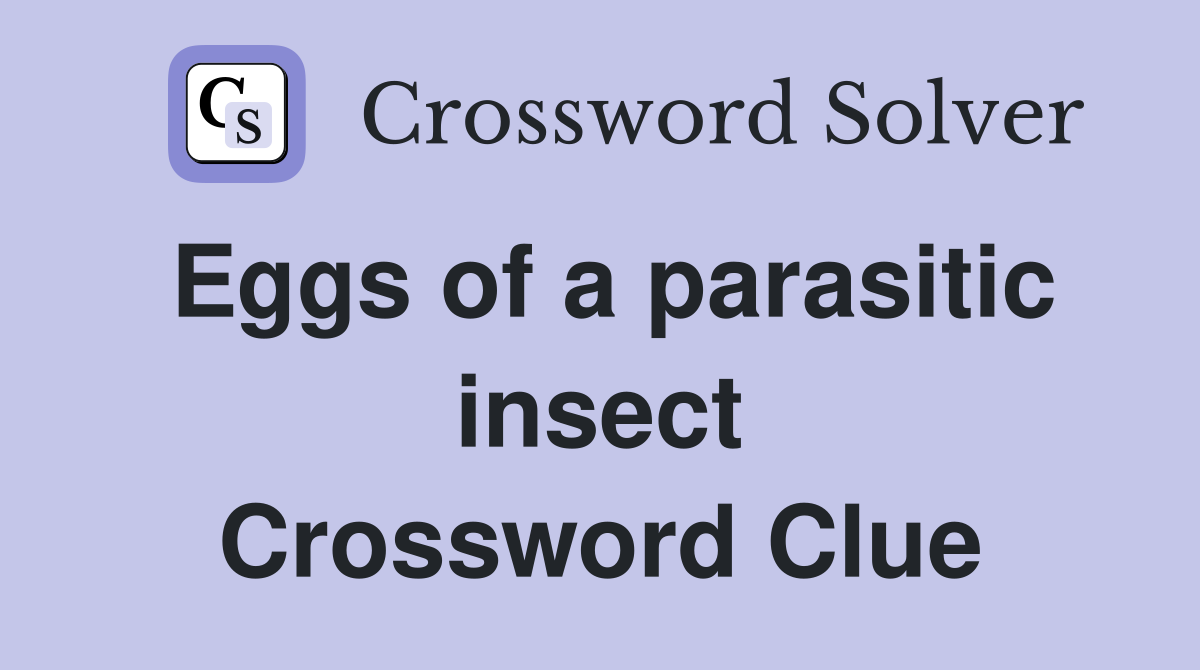 Eggs of a parasitic insect Crossword Clue