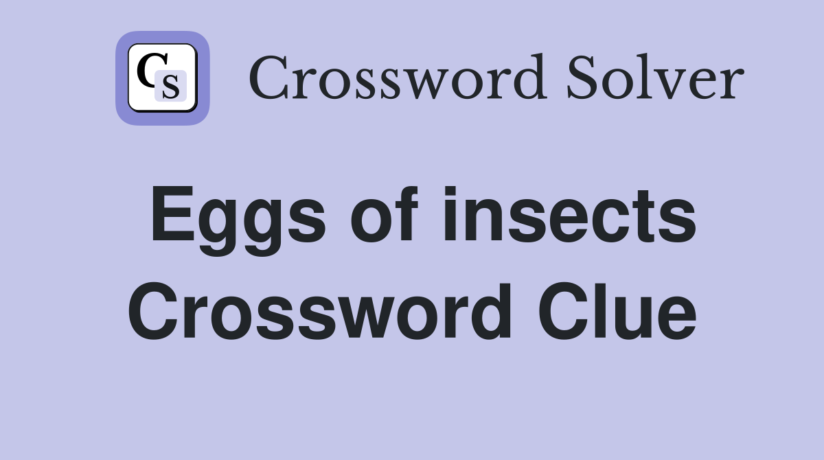 Eggs of insects Crossword Clue
