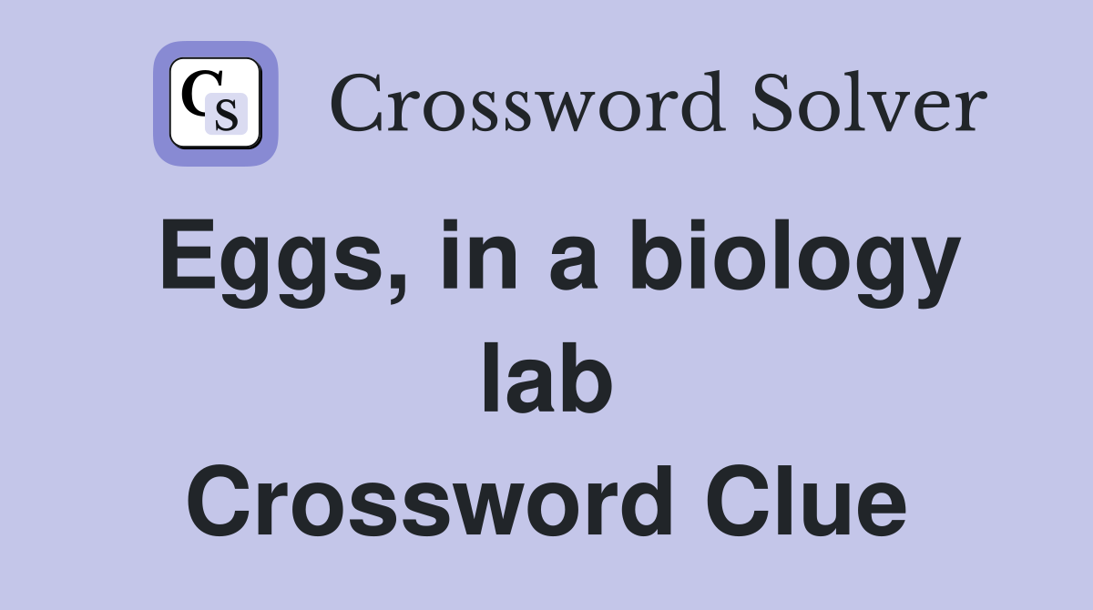 Eggs, in a biology lab Crossword Clue