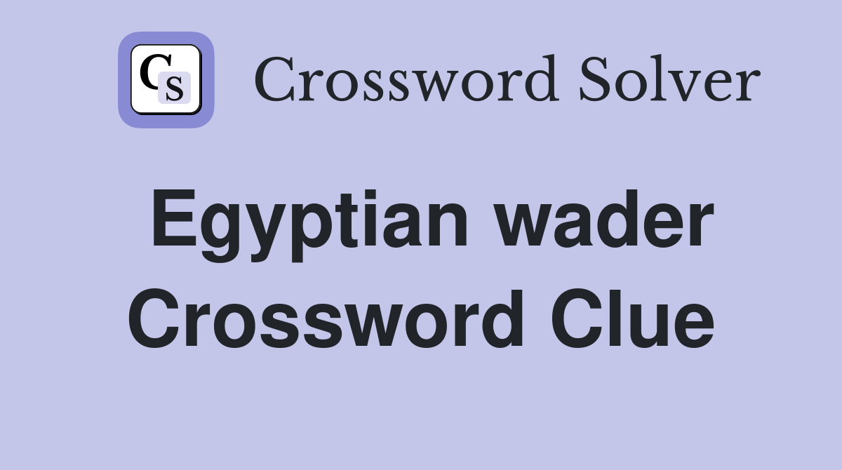 Egyptian wader Crossword Clue