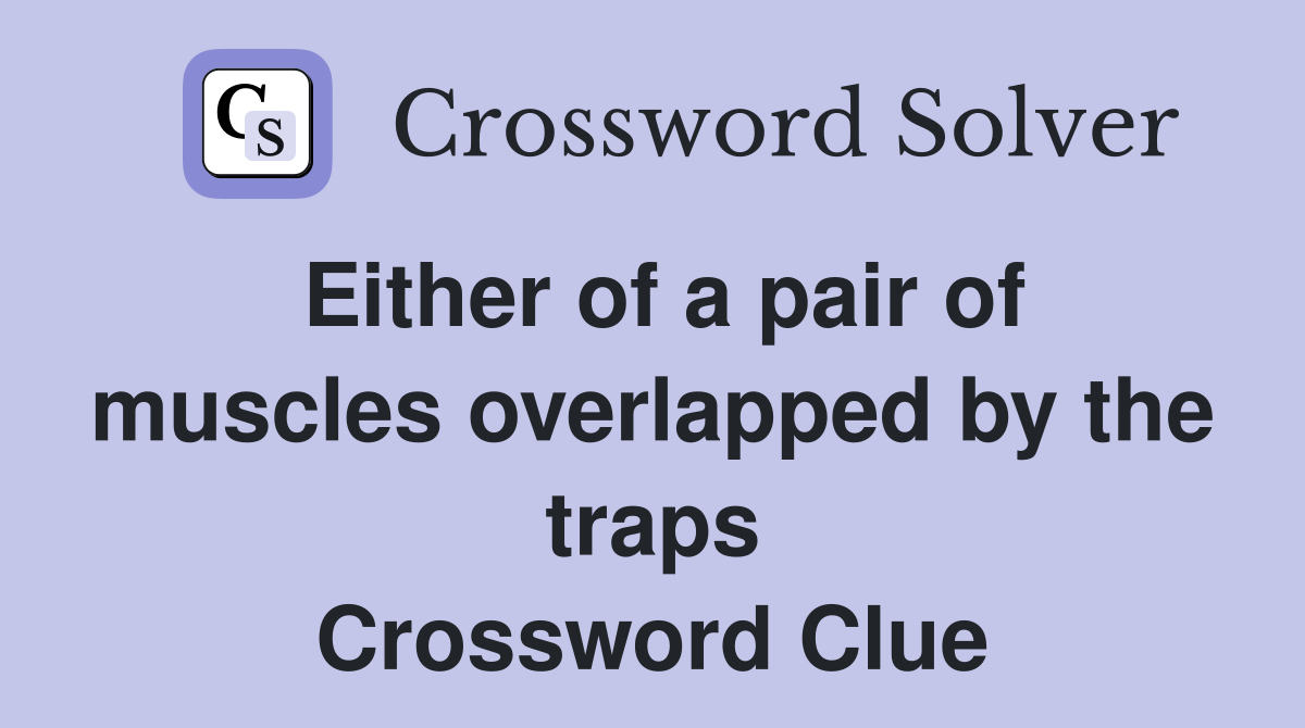 Either of a pair of muscles overlapped by the traps Crossword Clue