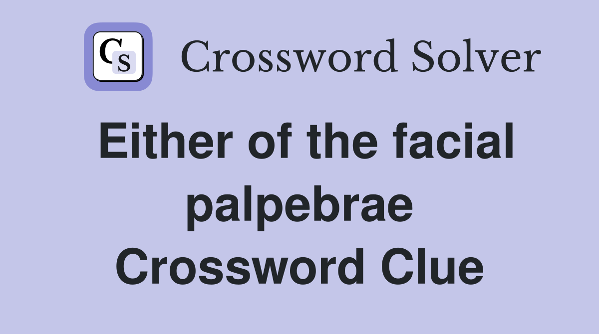 Either of the facial palpebrae Crossword Clue