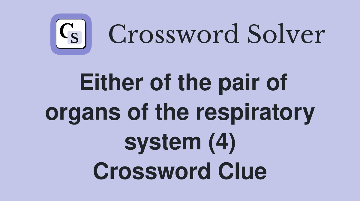 Either of the pair of organs of the respiratory system (4) Crossword Clue