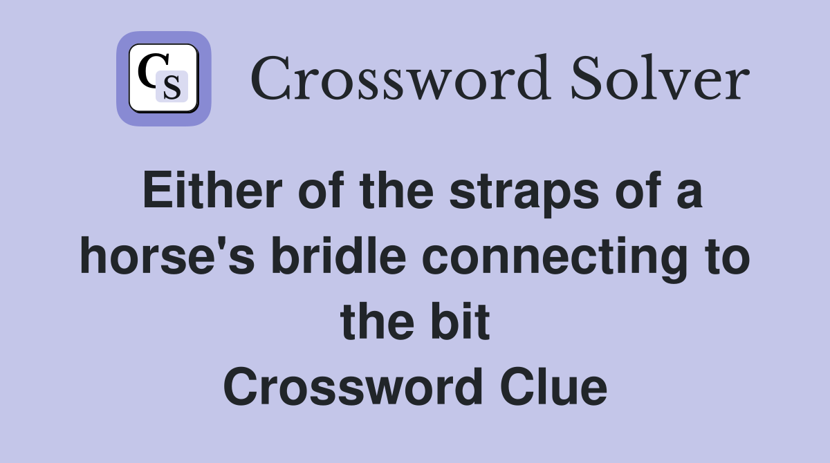 Either of the straps of a horse's bridle connecting to the bit Crossword Clue