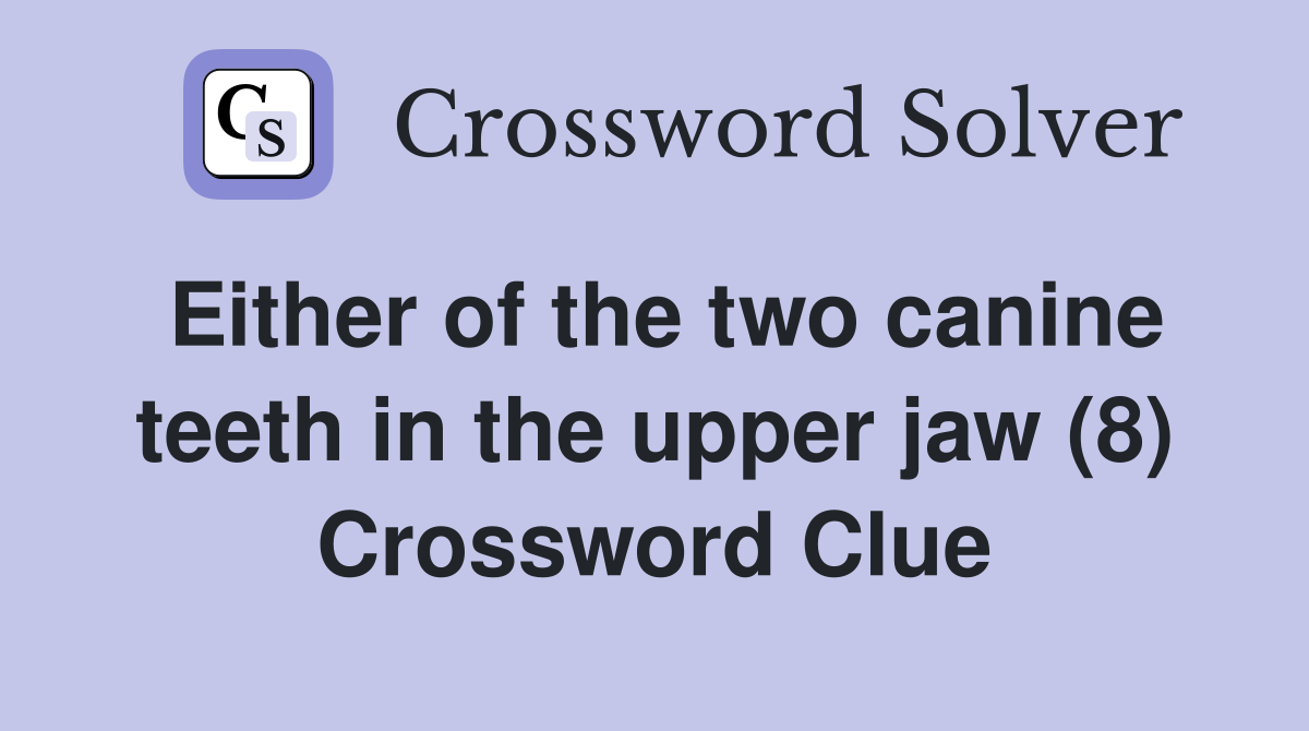Either of the two canine teeth in the upper jaw (8) Crossword Clue
