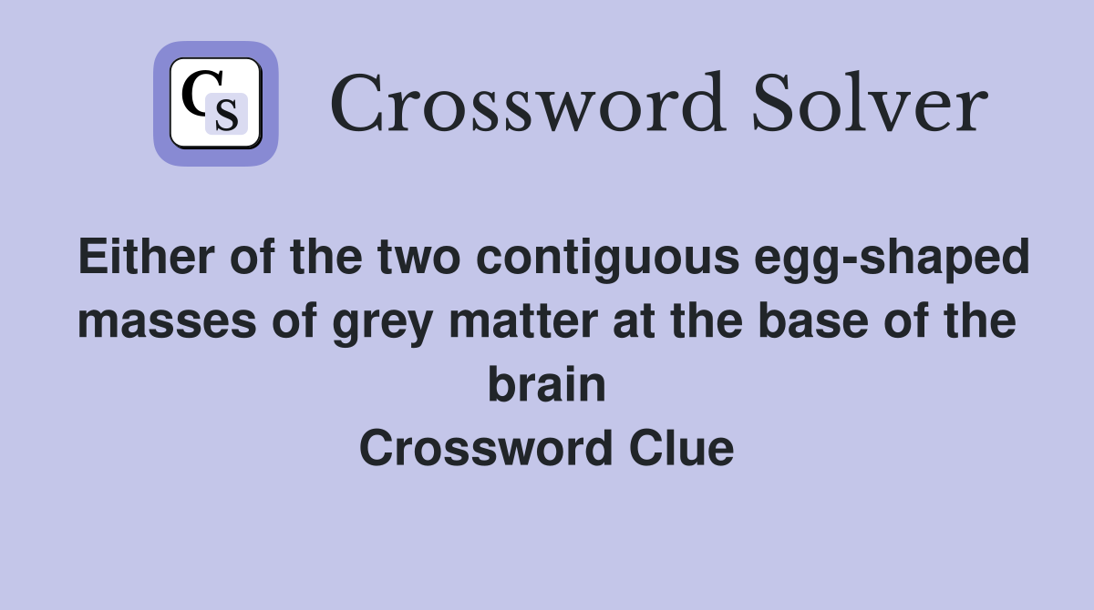 Either of the two contiguous egg-shaped masses of grey matter at the base of the brain Crossword Clue