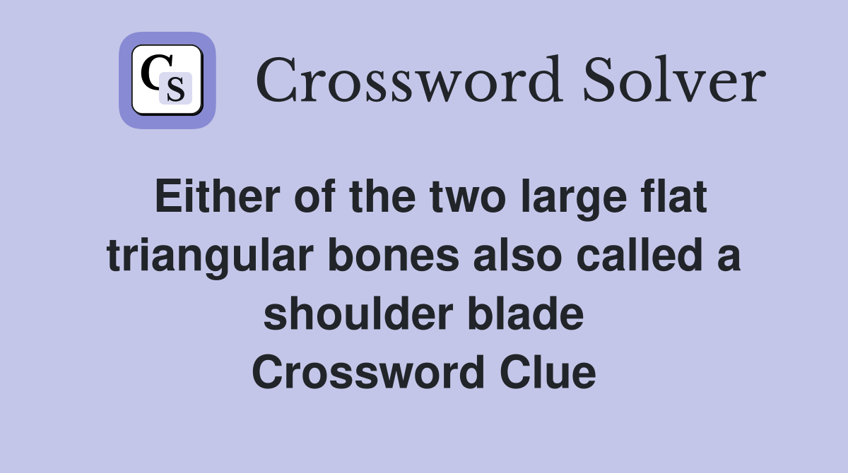 Either of the two large flat triangular bones also called a shoulder blade Crossword Clue