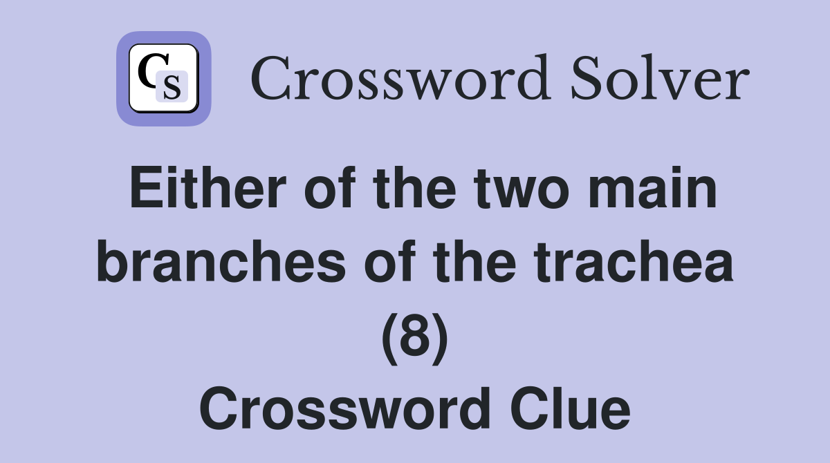 Either of the two main branches of the trachea (8) Crossword Clue