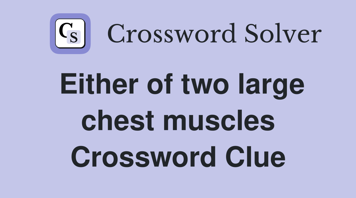 Either of two large chest muscles Crossword Clue