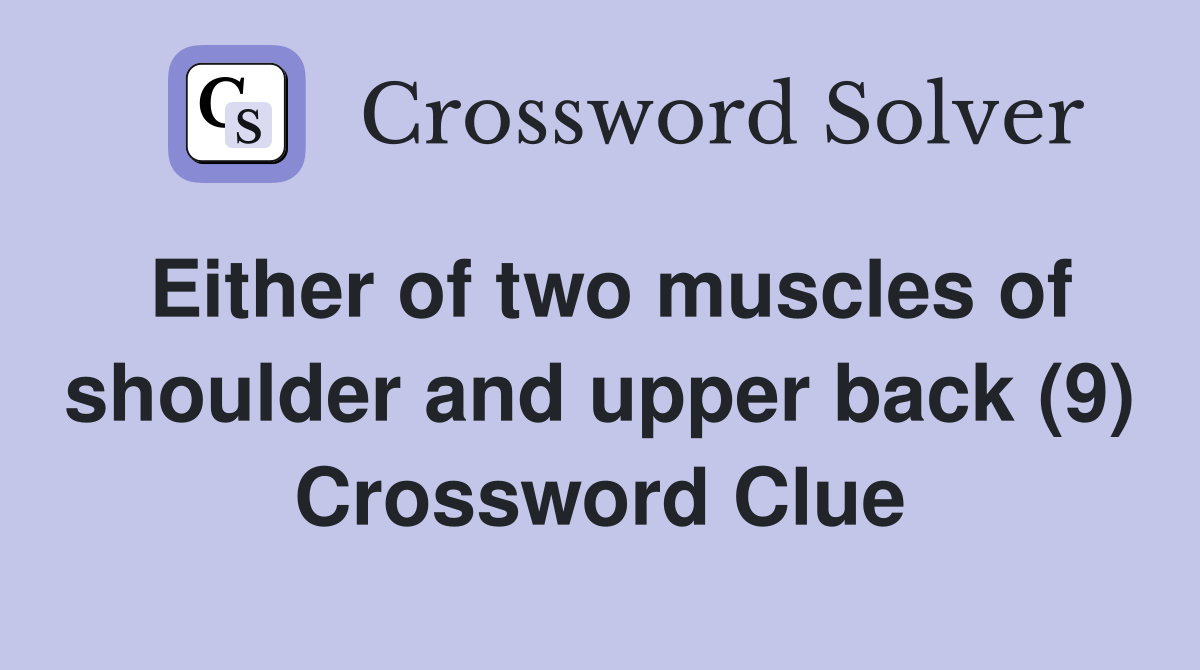 Either of two muscles of shoulder and upper back (9) Crossword Clue