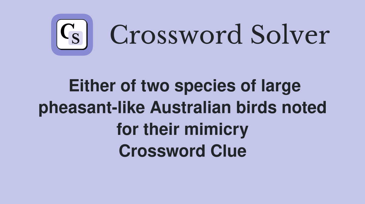 Either of two species of large pheasant-like Australian birds noted for their mimicry Crossword Clue