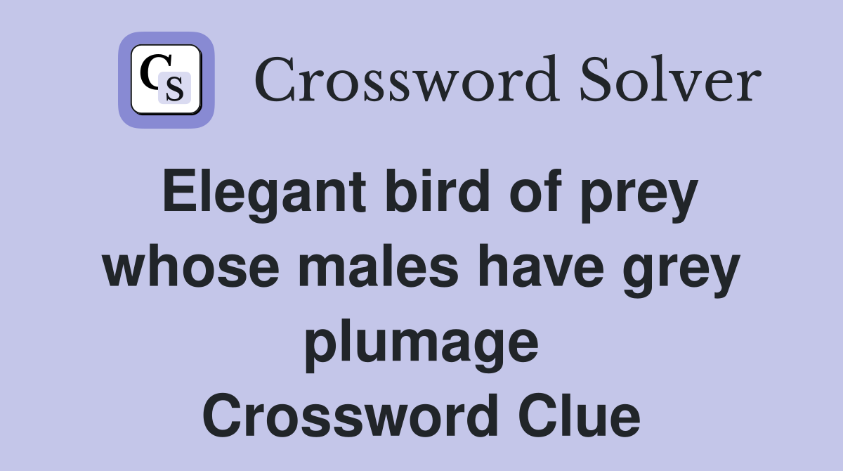 Elegant bird of prey whose males have grey plumage Crossword Clue
