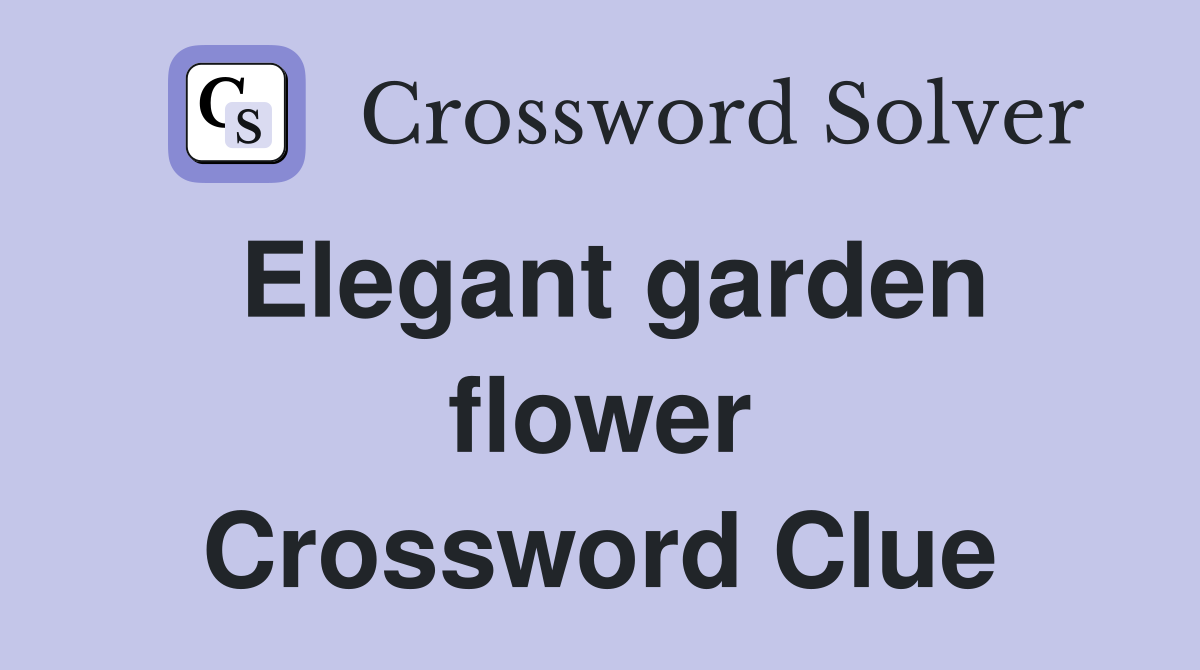 Elegant garden flower Crossword Clue