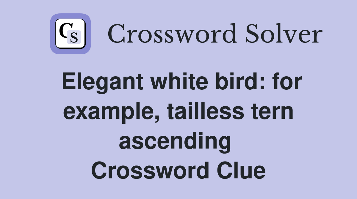 Elegant white bird: for example, tailless tern ascending  Crossword Clue