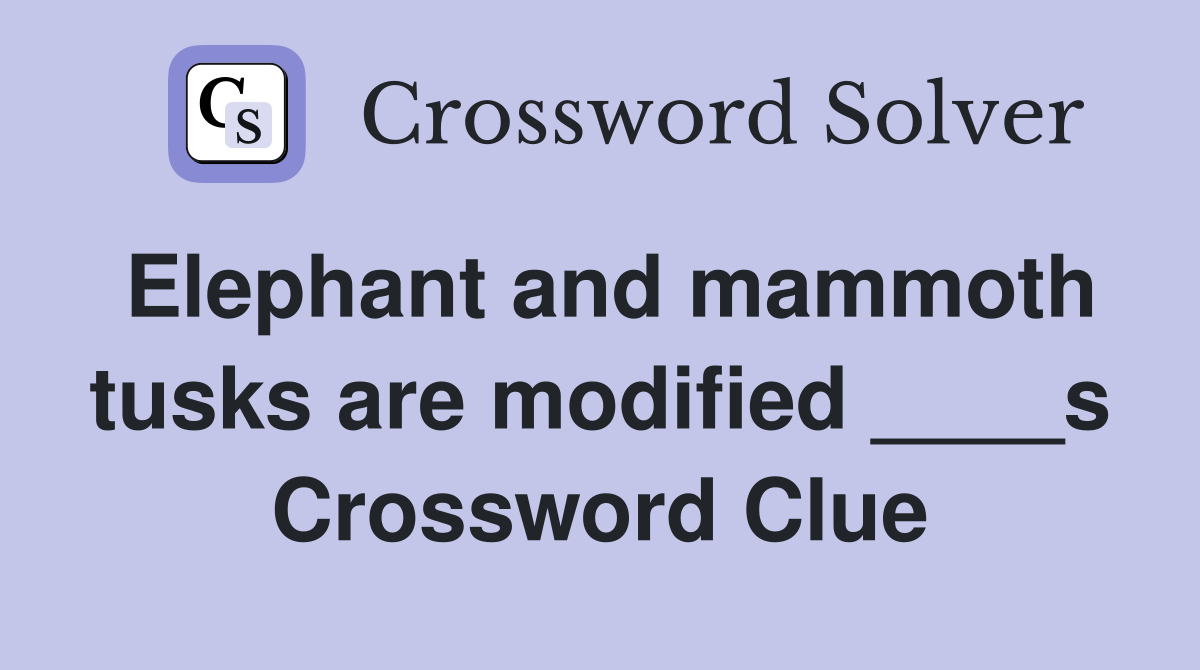 Elephant and mammoth tusks are modified ____s Crossword Clue