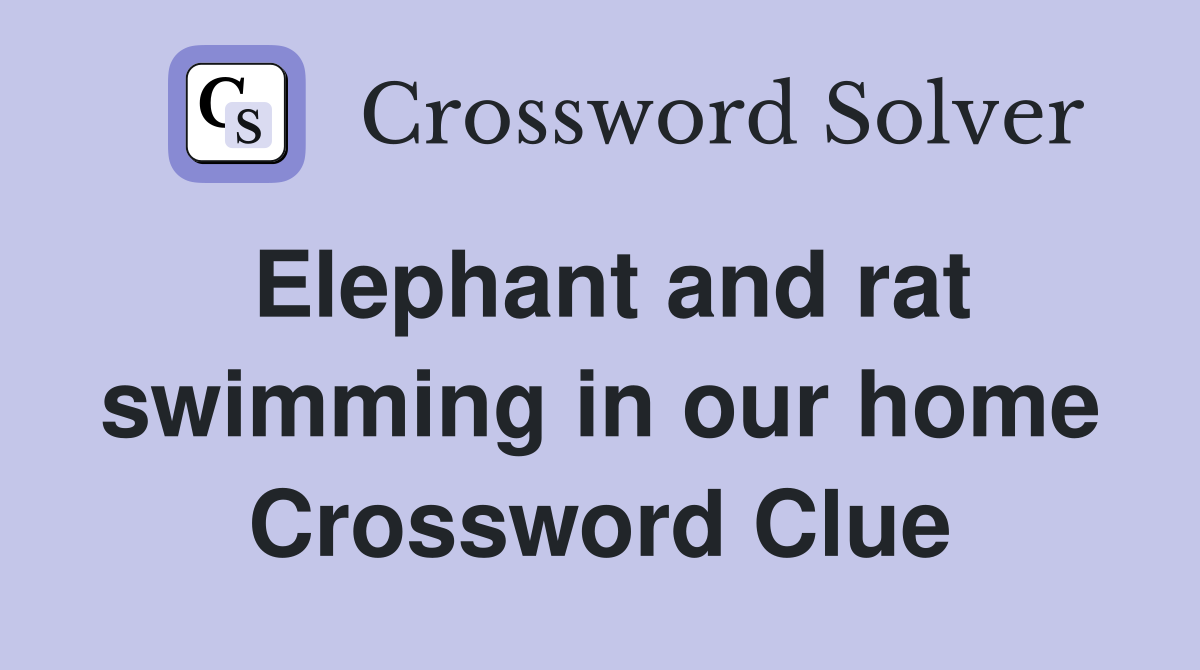 Elephant and rat swimming in our home Crossword Clue