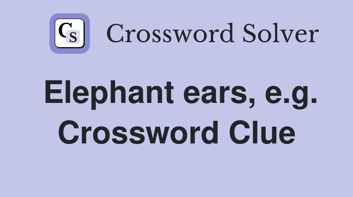 Elephant ears, e.g. Crossword Clue