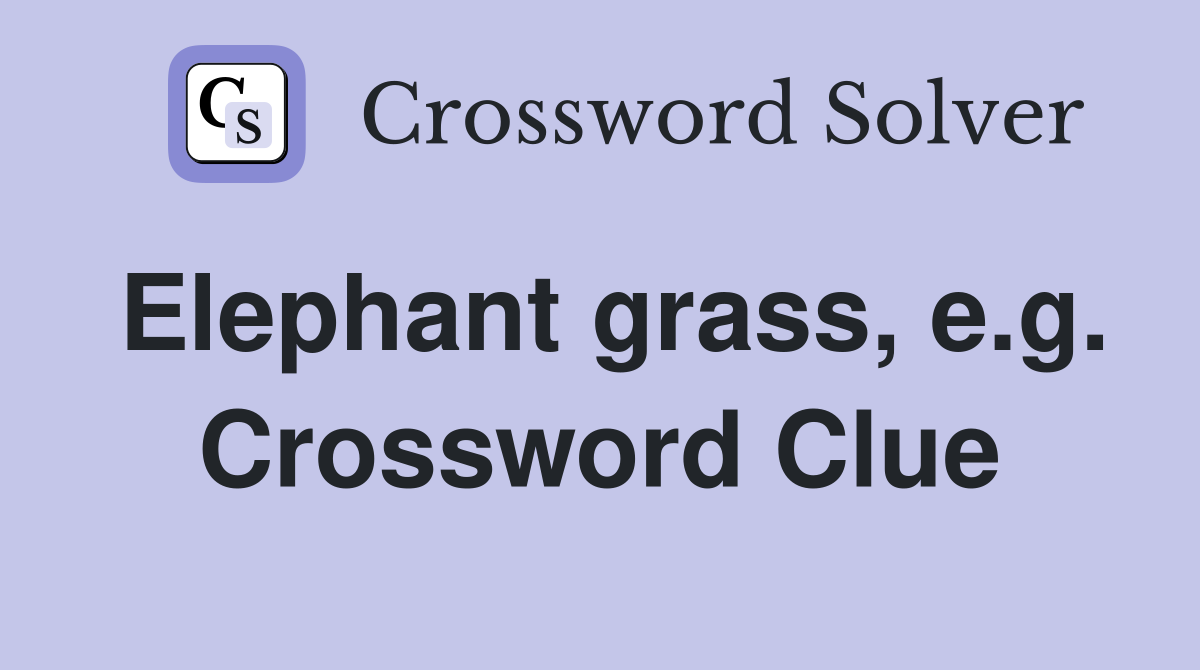 Elephant grass, e.g. Crossword Clue