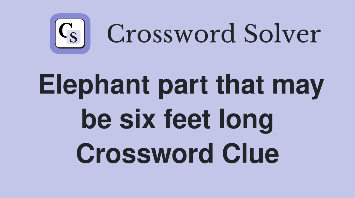 Elephant part that may be six feet long Crossword Clue