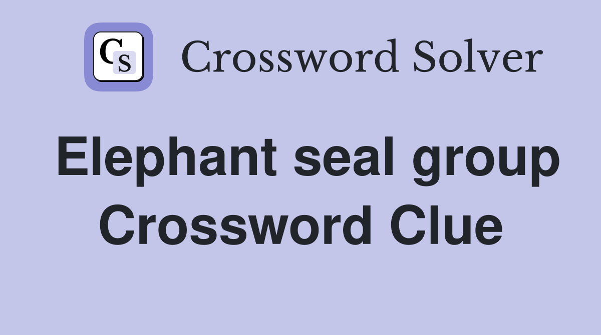 Elephant seal group Crossword Clue