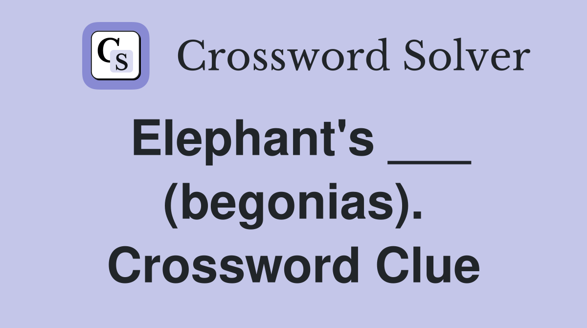 Elephant's ___ (begonias). Crossword Clue