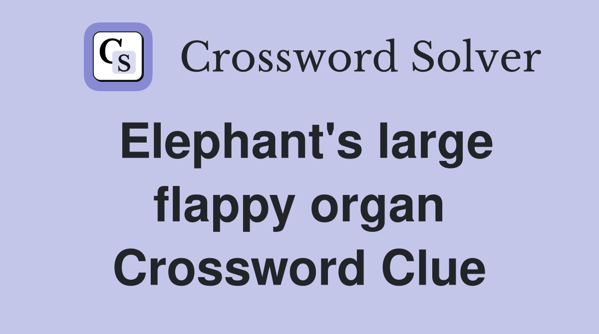 Elephant's large flappy organ Crossword Clue