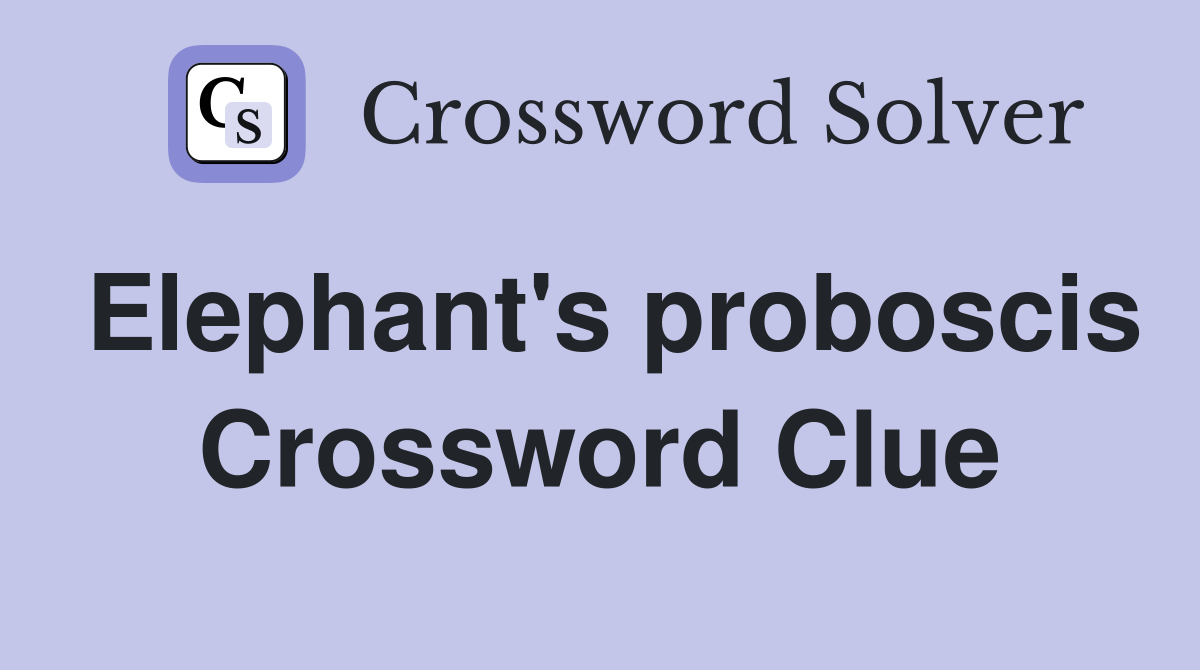 Elephant's proboscis Crossword Clue