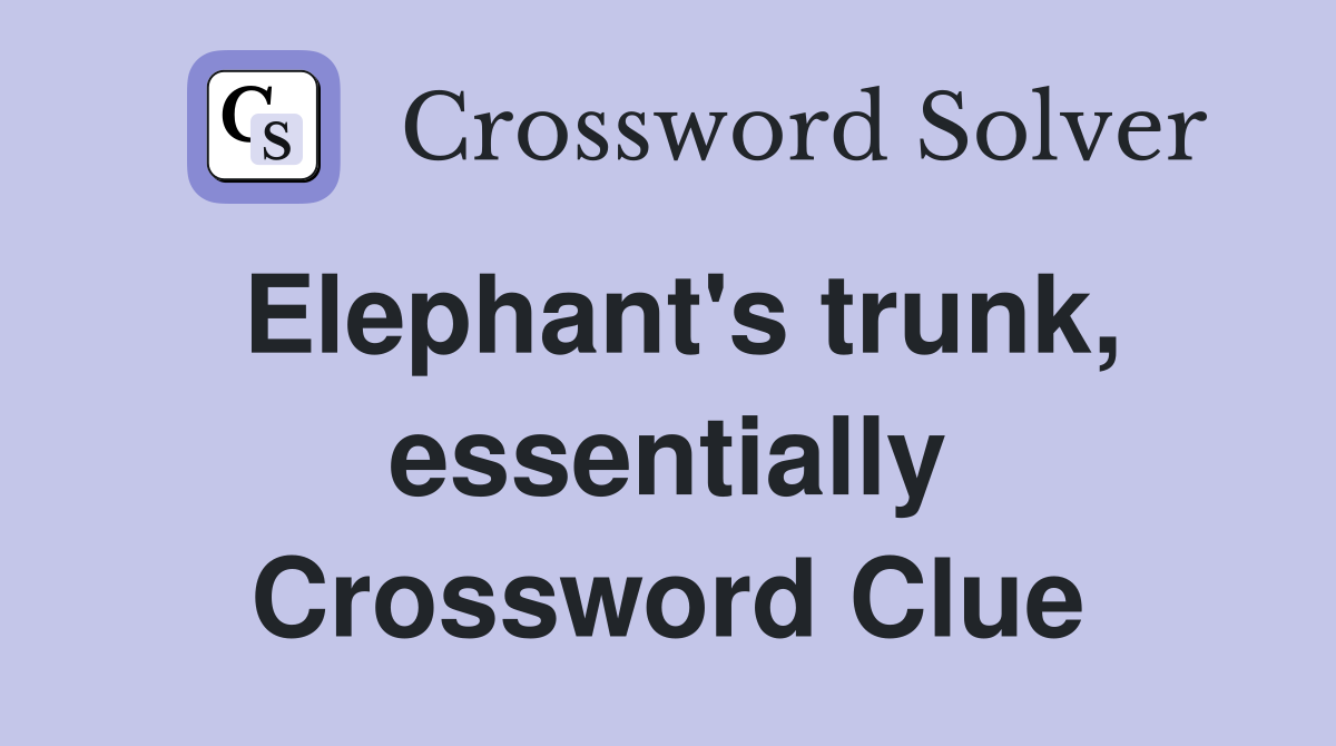 Elephant's trunk, essentially Crossword Clue