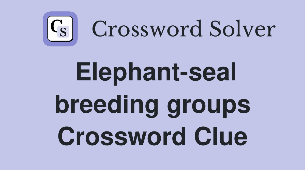 Elephant-seal breeding groups Crossword Clue
