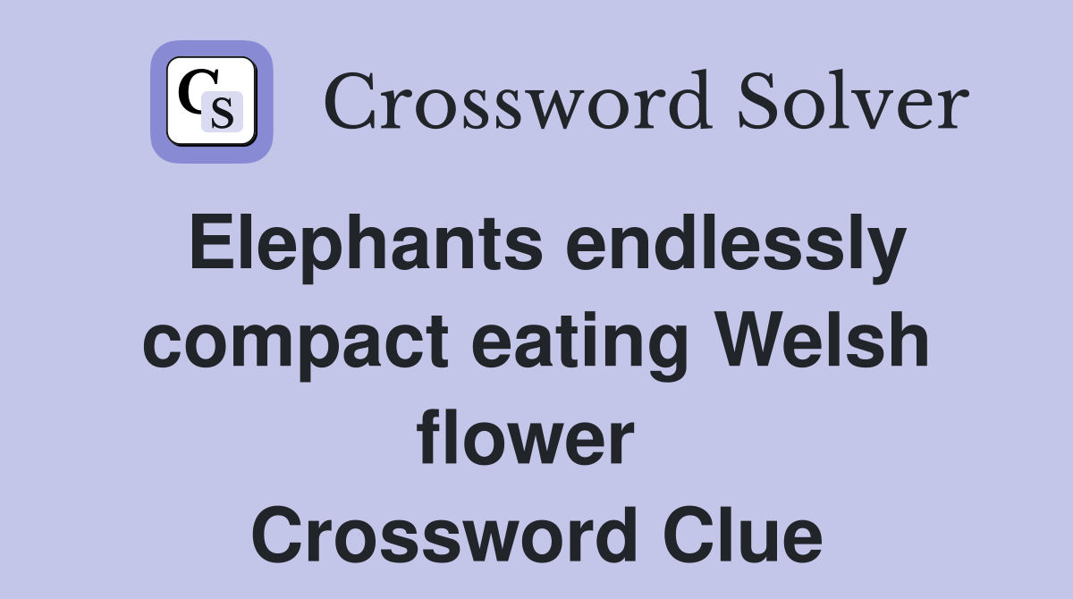 Elephants endlessly compact eating Welsh flower  Crossword Clue