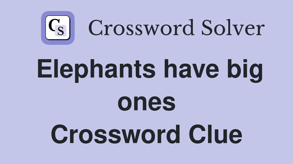 Elephants have big ones Crossword Clue