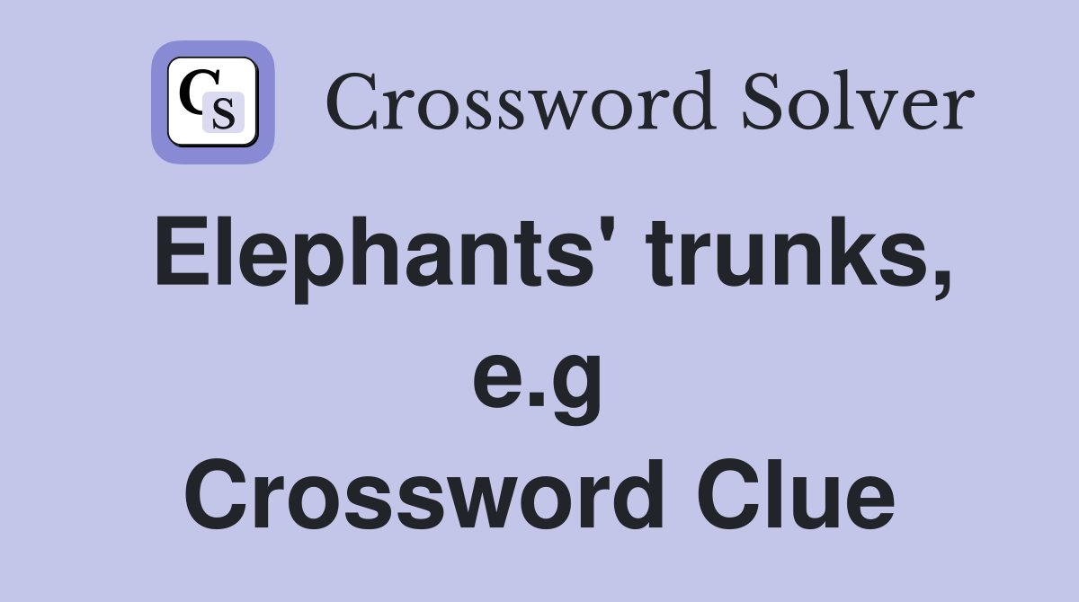 Elephants' trunks, e.g Crossword Clue