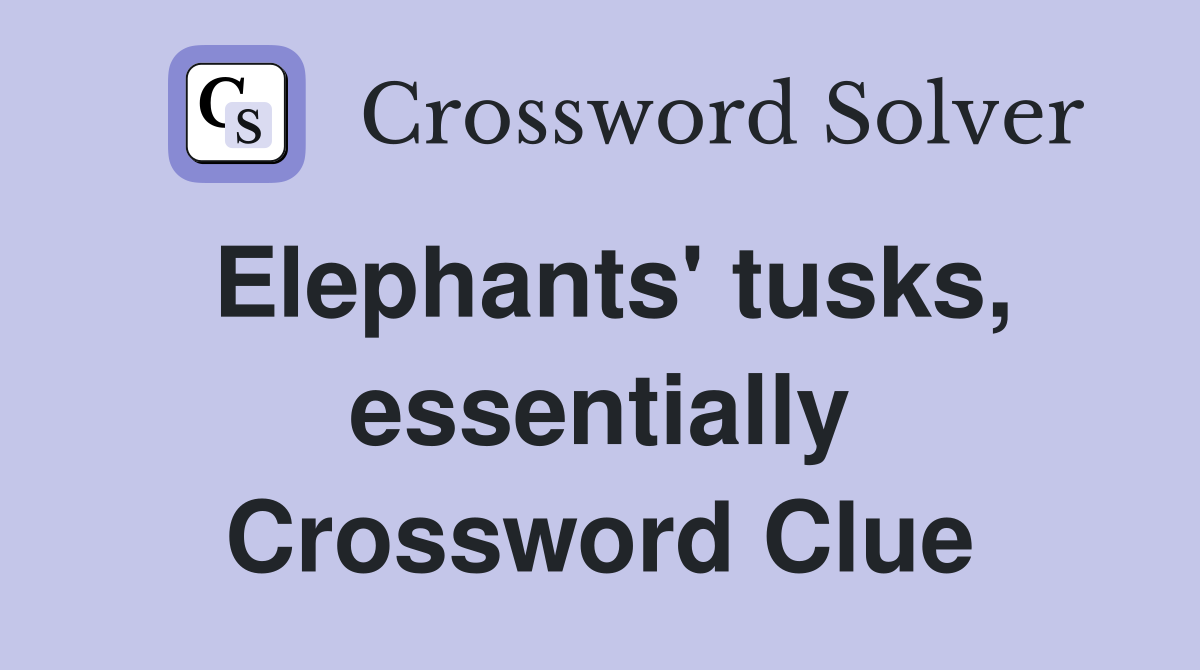 Elephants' tusks, essentially Crossword Clue
