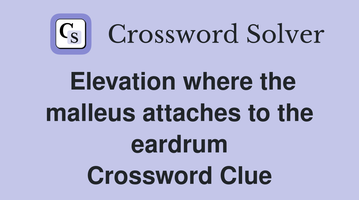 Elevation where the malleus attaches to the eardrum Crossword Clue